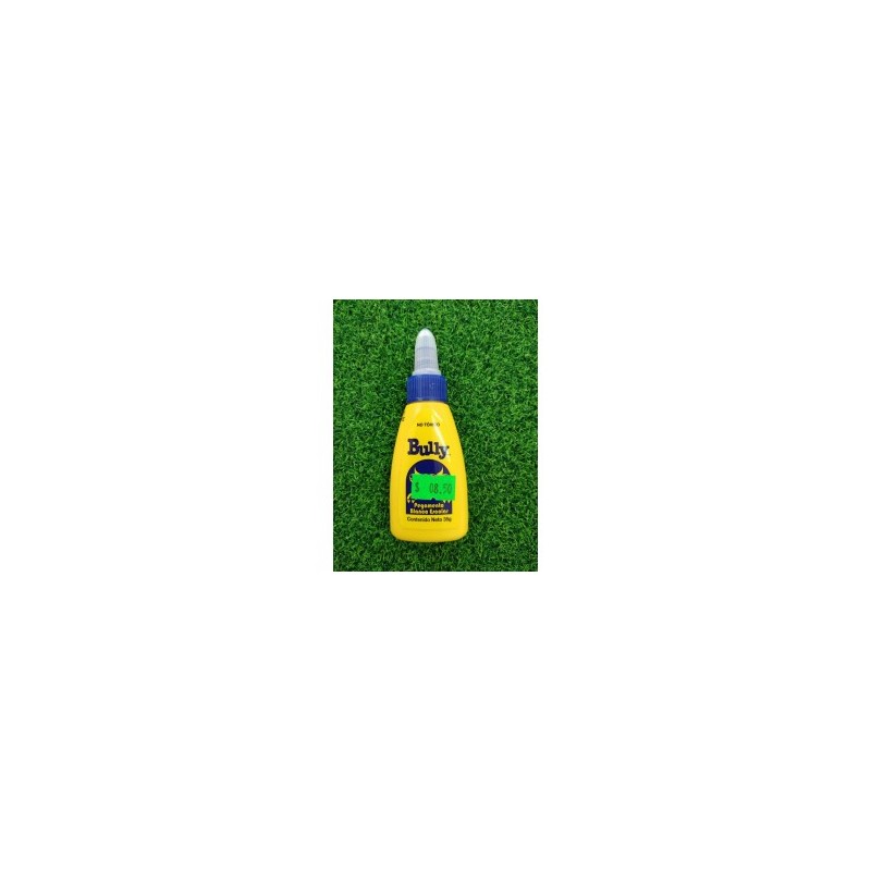 Pegamento Liquido Bully 35g