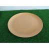 Plato Plastico Taquero.